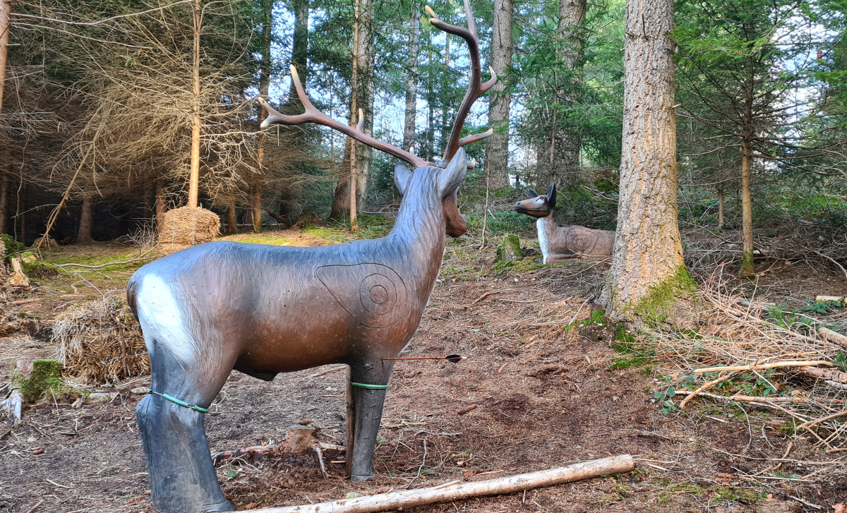 Colemen Traditionell intuitiv Bogenschießen, 3D Bogenparcours Bad Waldsee