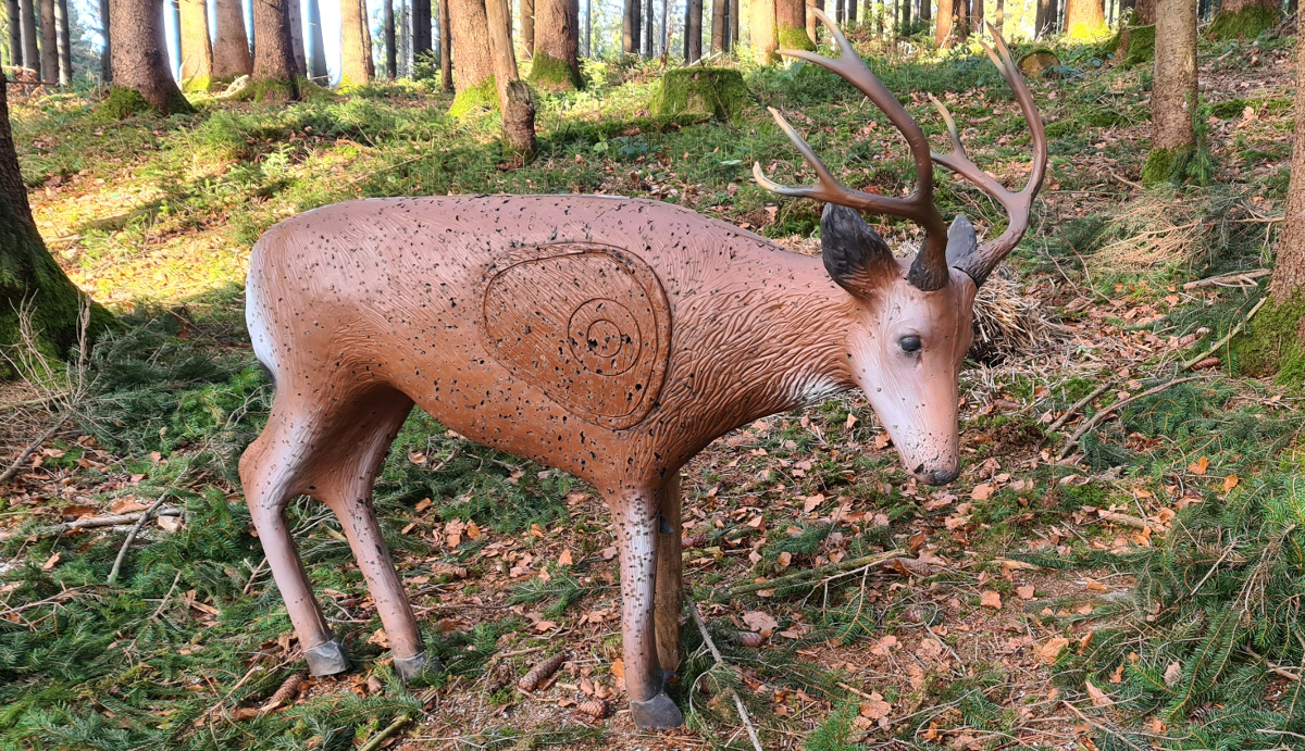 Colemen Traditionell intuitiv Bogenschießen, 3D Bogenparcours Bad Waldsee