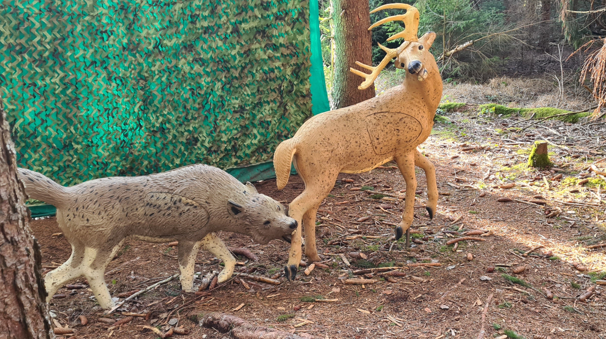 Colemen Traditionell intuitiv Bogenschießen, 3D Bogenparcours Bad Waldsee