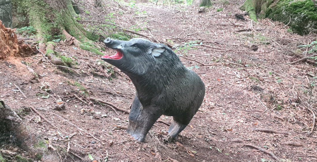 Colemen Traditionell intuitiv Bogenschießen, 3D Bogenparcours Bogen Sehne Immenstadt