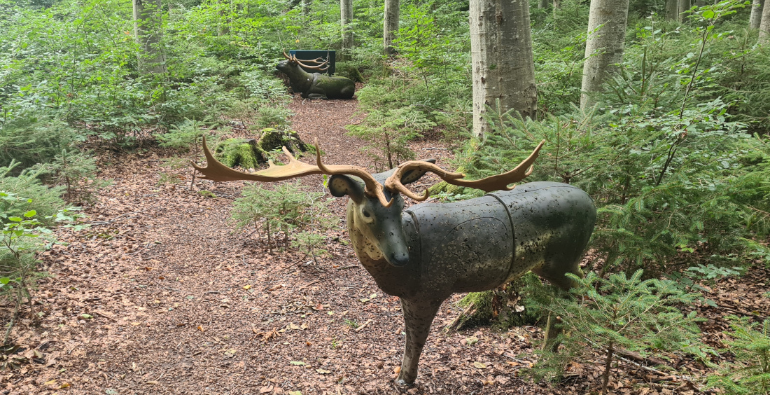 Colemen Traditionell intuitiv Bogenschießen, 3D Bogenparcours Bogen Sehne Immenstadt
