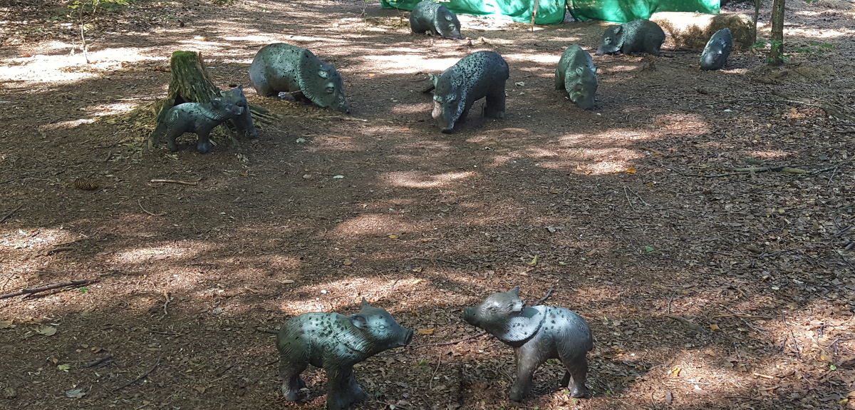 Colemen Traditionell intuitiv Bogenschießen, 3D Bogenparcours Bow Vision