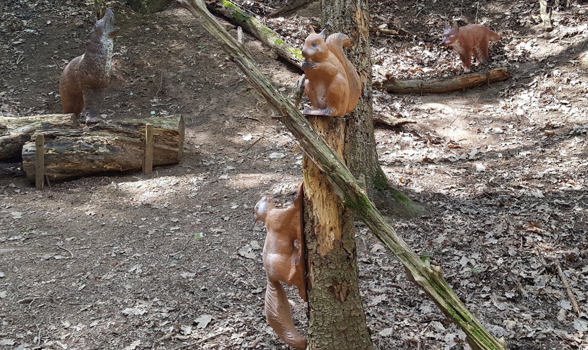 Colemen Traditionell intuitiv Bogenschießen, 3D Bogenparcours Bärleinsparcours