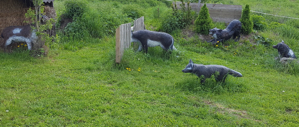 Colemen Traditionell intuitiv Bogenschießen, 3D Bogenparcours Bärleinsparcours