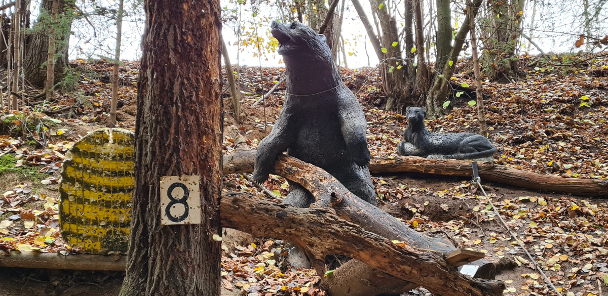 Colemen Traditionell intuitiv Bogenschießen, 3D Bogenparcours Bärleinsparcours