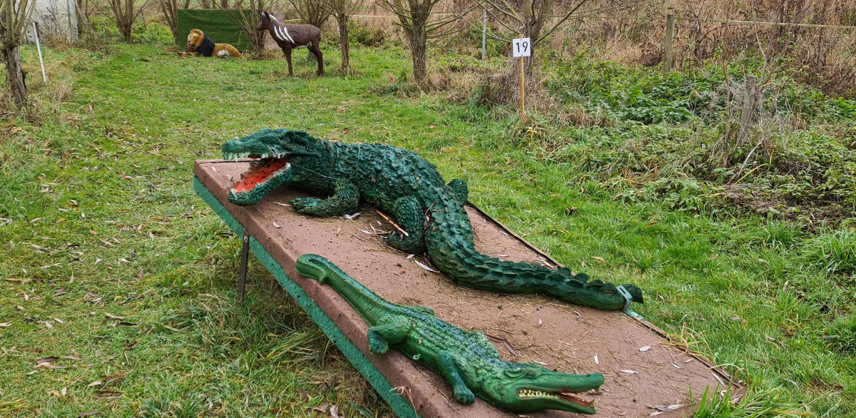 Colemen Traditionell intuitiv Bogenschießen, 3D Bogenparcours Bärleinsparcours