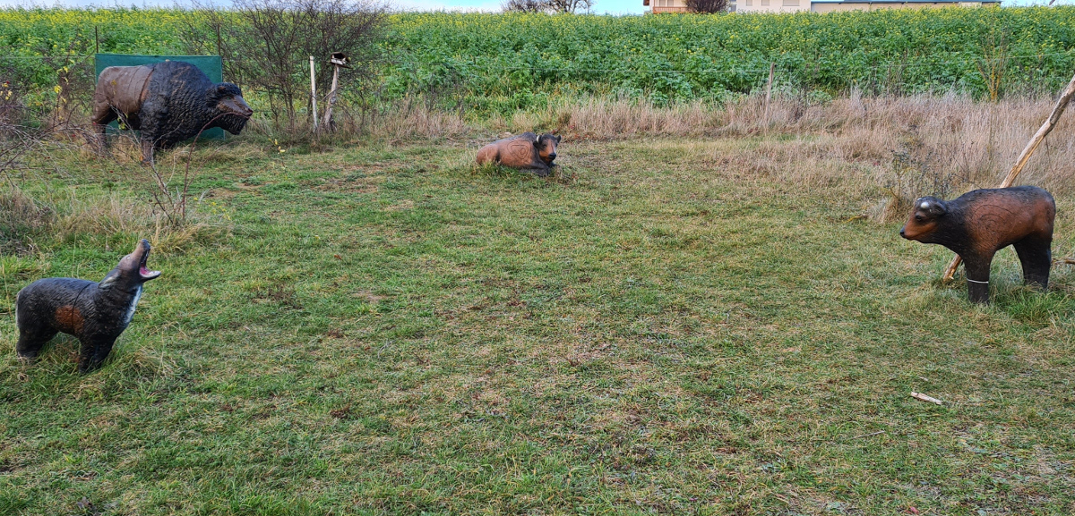 Colemen Traditionell intuitiv Bogenschießen, 3D Bogenparcours Bärleinsparcours