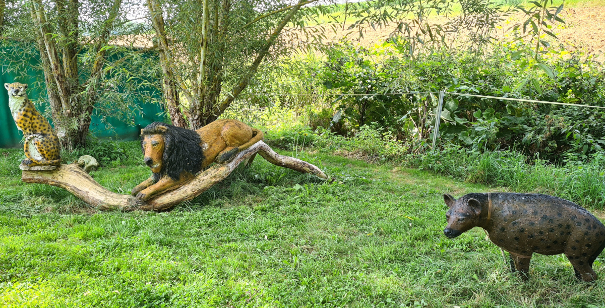 Colemen Traditionell intuitiv Bogenschießen, 3D Bogenparcours, Traditioneller Bärleinsparcours