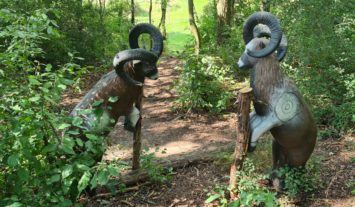 Colemen Traditionell intuitiv Bogenschießen, 3D Bogenparcours, Traditioneller Bärleinsparcours