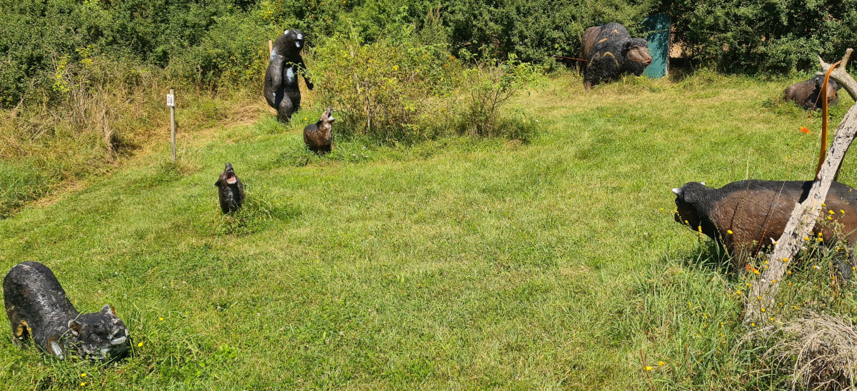 Colemen Traditionell intuitiv Bogenschießen, 3D Bogenparcours, Traditioneller Bärleinsparcours