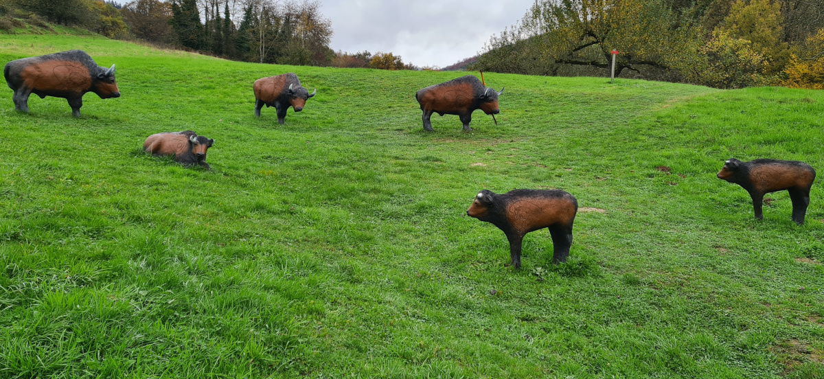 Colemen Traditionell intuitiv Bogenschießen, 3D Bogenparcours Collenberg