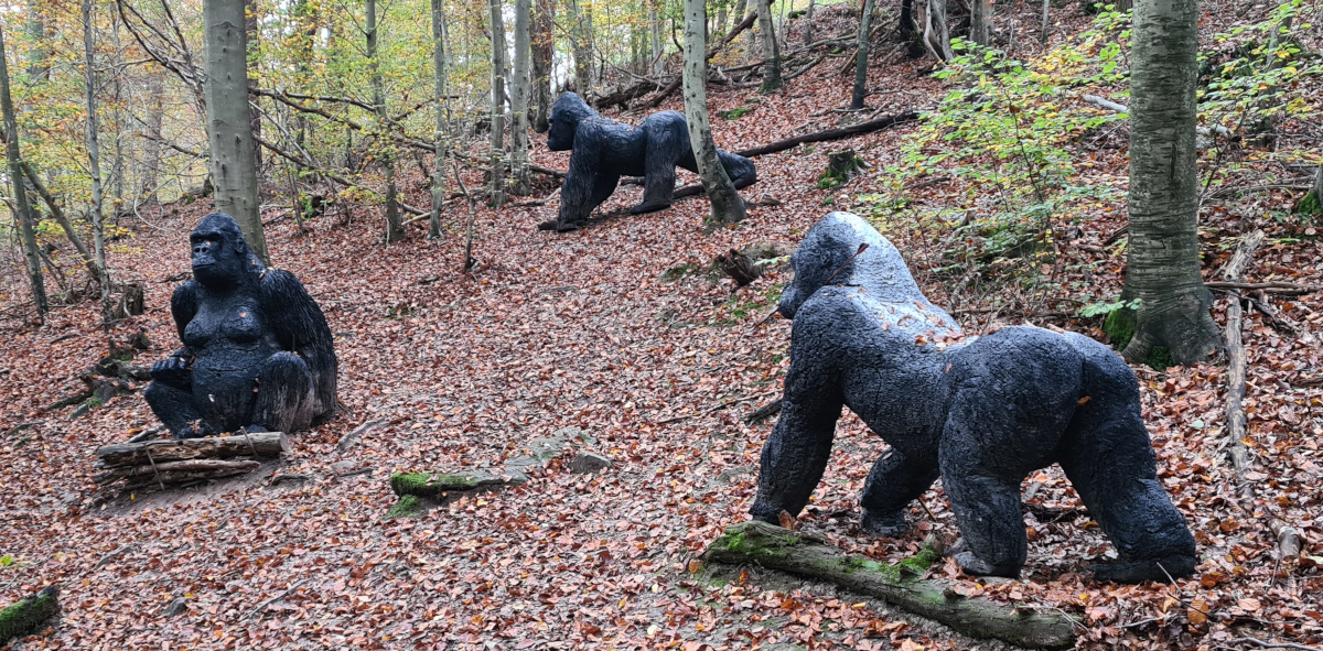 Colemen Traditionell intuitiv Bogenschießen, 3D Bogenparcours Collenberg