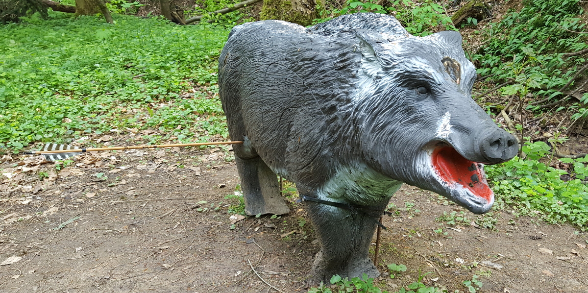 Colemen Traditionell intuitiv Bogenschießen, 3D Bogenparcours Donzdorf