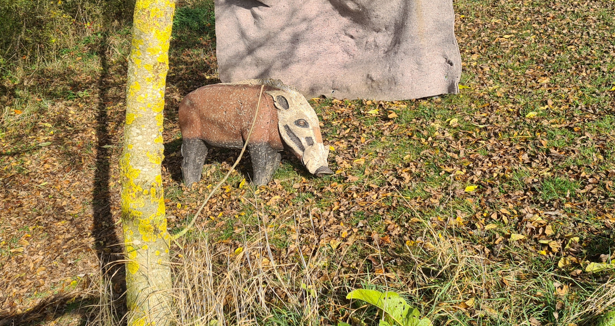 Colemen Traditionell intuitiv Bogenschießen, 3D Bogenparcours, Traditioneller Bogenparcours Eckartshausen