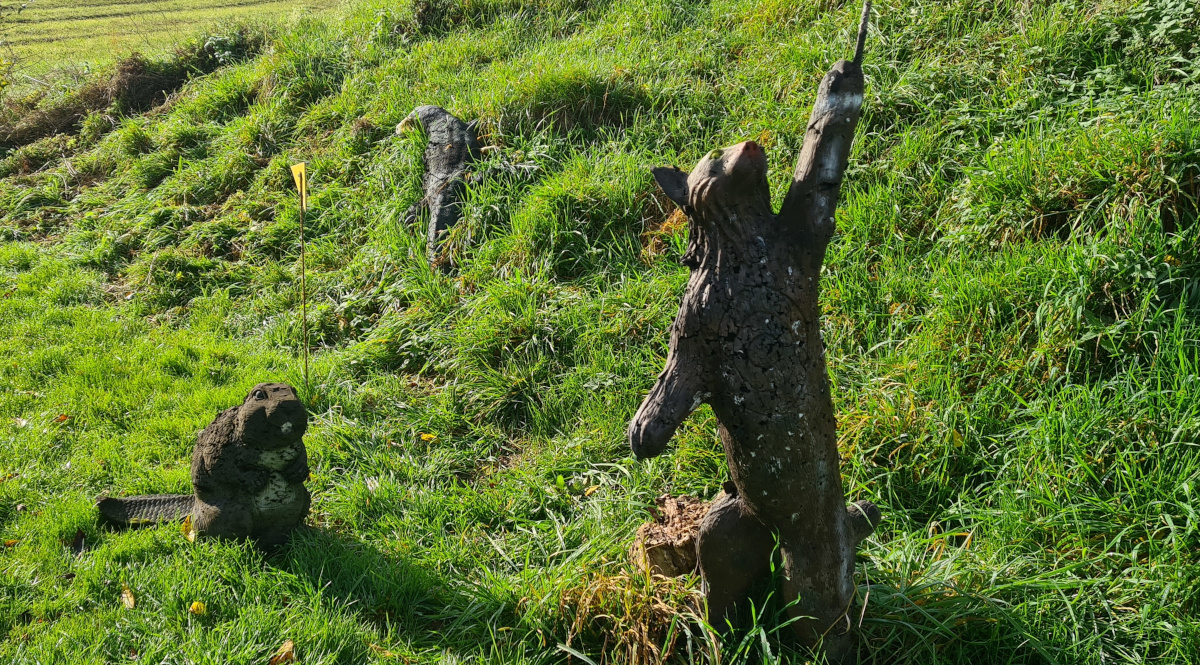 Colemen Traditionell intuitiv Bogenschießen, 3D Bogenparcours, Traditioneller Bogenparcours Eckartshausen