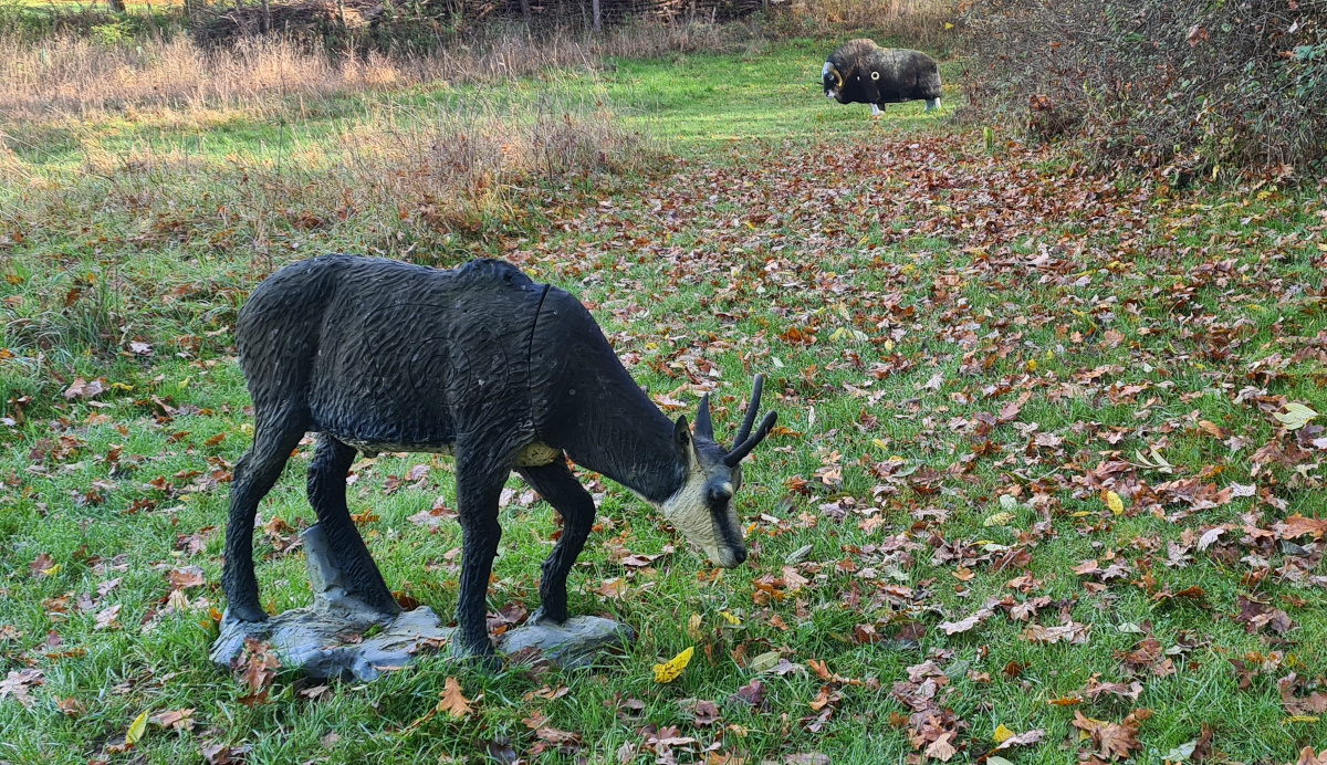 Colemen Traditionell intuitiv Bogenschießen, 3D Bogenparcours, Traditioneller Bogenparcours Eckartshausen