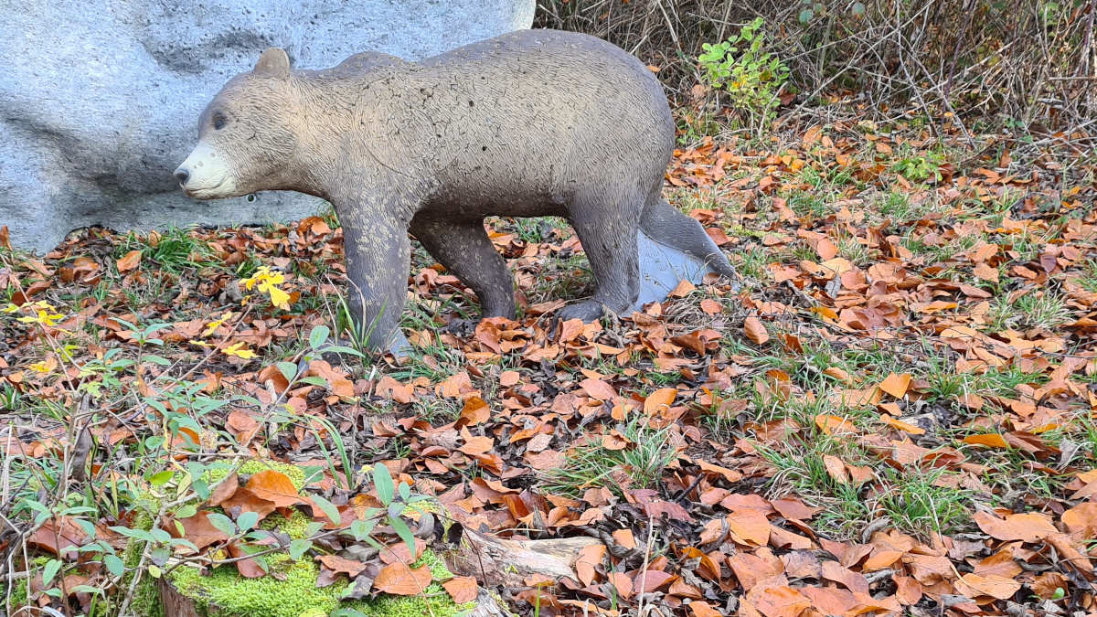 Colemen Traditionell intuitiv Bogenschießen, 3D Bogenparcours, Traditioneller Bogenparcours Eckartshausen