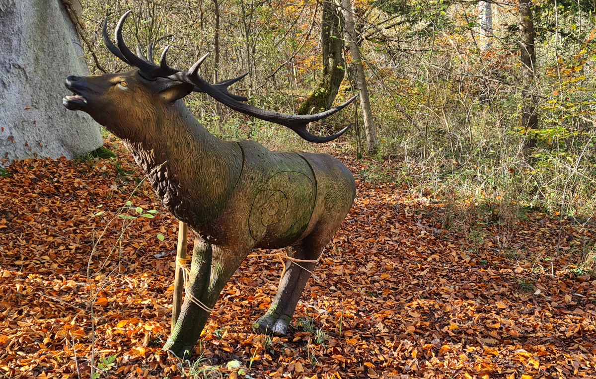 Colemen Traditionell intuitiv Bogenschießen, 3D Bogenparcours, Traditioneller Bogenparcours Eckartshausen