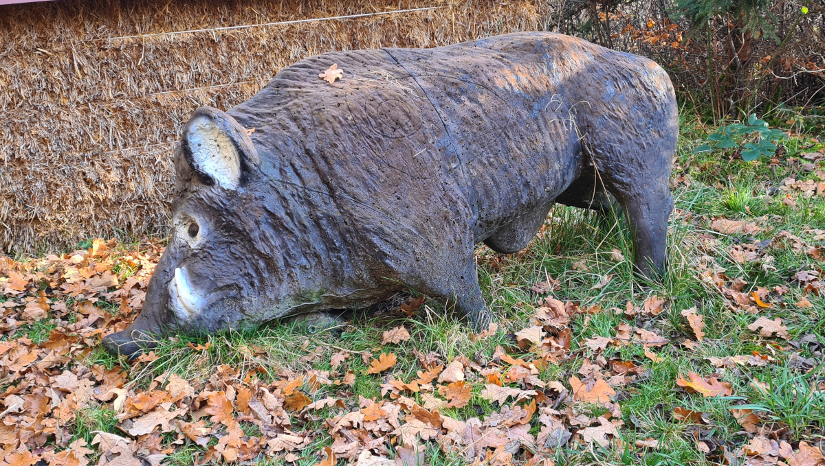 Colemen Traditionell intuitiv Bogenschießen, 3D Bogenparcours, Traditioneller Bogenparcours Eckartshausen