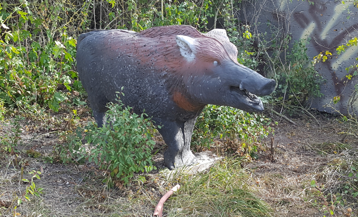 Colemen Traditionell intuitiv Bogenschießen, 3D Bogenparcours Diebacher Edelknechte