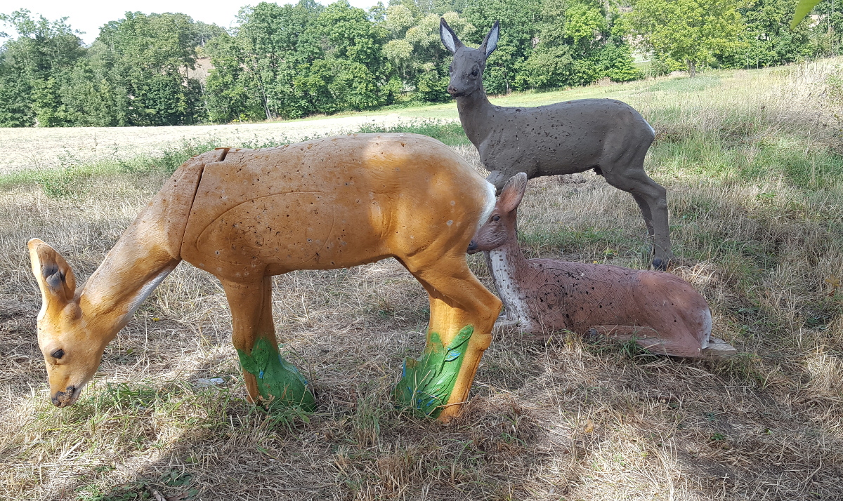 Colemen Traditionell intuitiv Bogenschießen, 3D Bogenparcours Diebacher Edelknechte