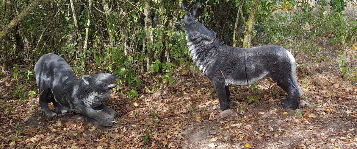 Colemen Traditionell intuitiv Bogenschießen, 3D Bogenparcours Diebacher Edelknechte