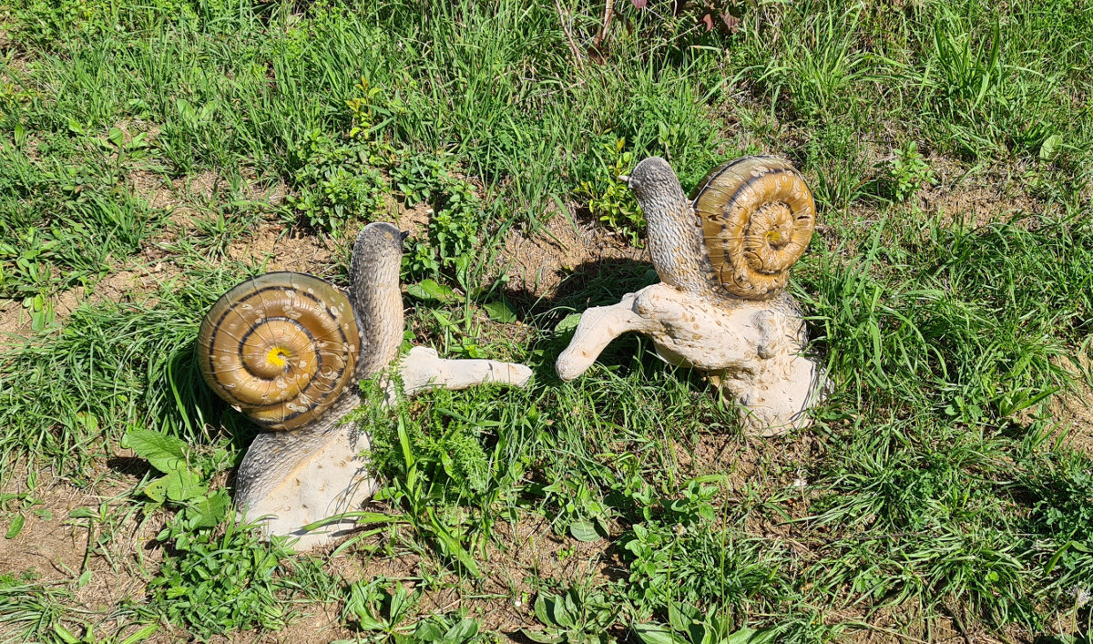 Colemen Traditionell intuitiv Bogenschießen, 3D Bogenparcours Eigeltingen