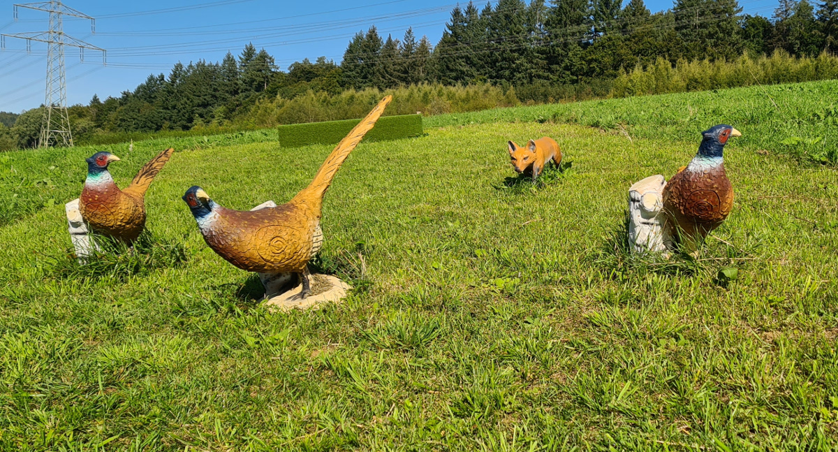 Colemen Traditionell intuitiv Bogenschießen, 3D Bogenparcours Eigeltingen