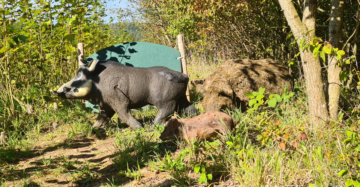 Colemen Traditionell intuitiv Bogenschießen, 3D Bogenparcours Eigeltingen