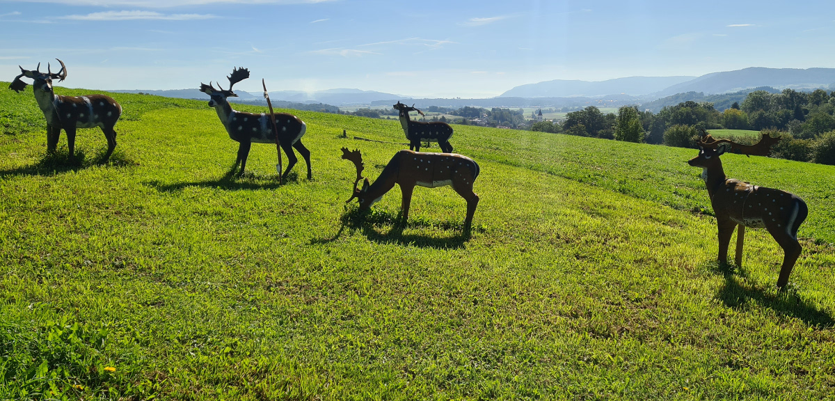 Colemen Traditionell intuitiv Bogenschießen, 3D Bogenparcours Eigeltingen