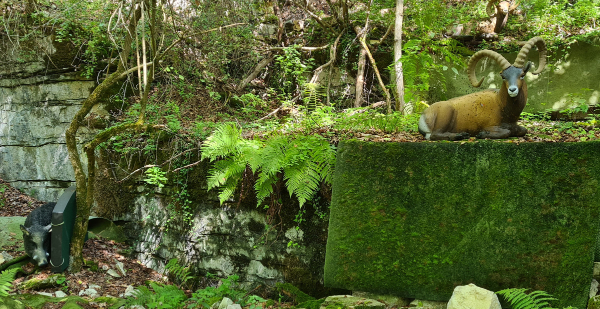 Colemen Traditionell intuitiv Bogenschießen, 3D Bogenparcours Eigeltingen