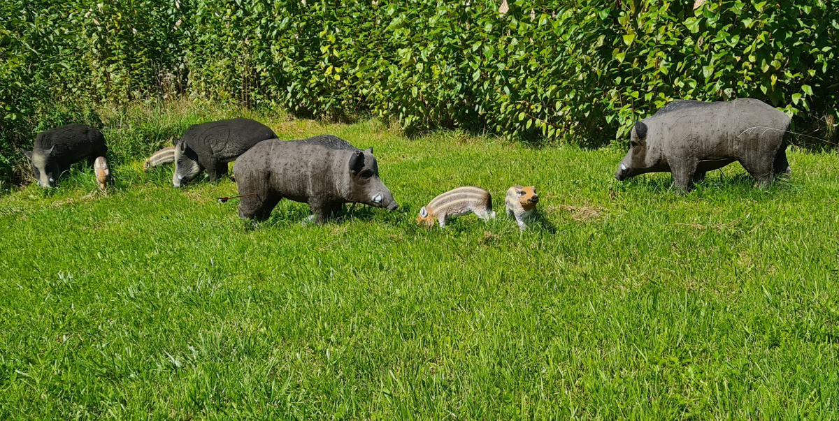 Colemen Traditionell intuitiv Bogenschießen, 3D Bogenparcours Eigeltingen