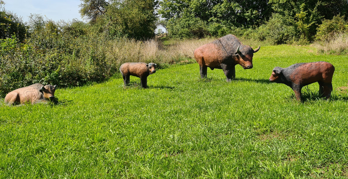 Colemen Traditionell intuitiv Bogenschießen, 3D Bogenparcours Eigeltingen