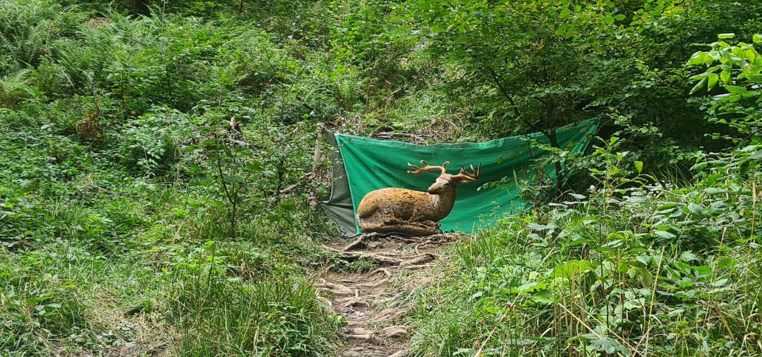 Colemen Traditionell intuitiv Bogenschießen, 3D Bogenparcours Höllschlucht Pfronten