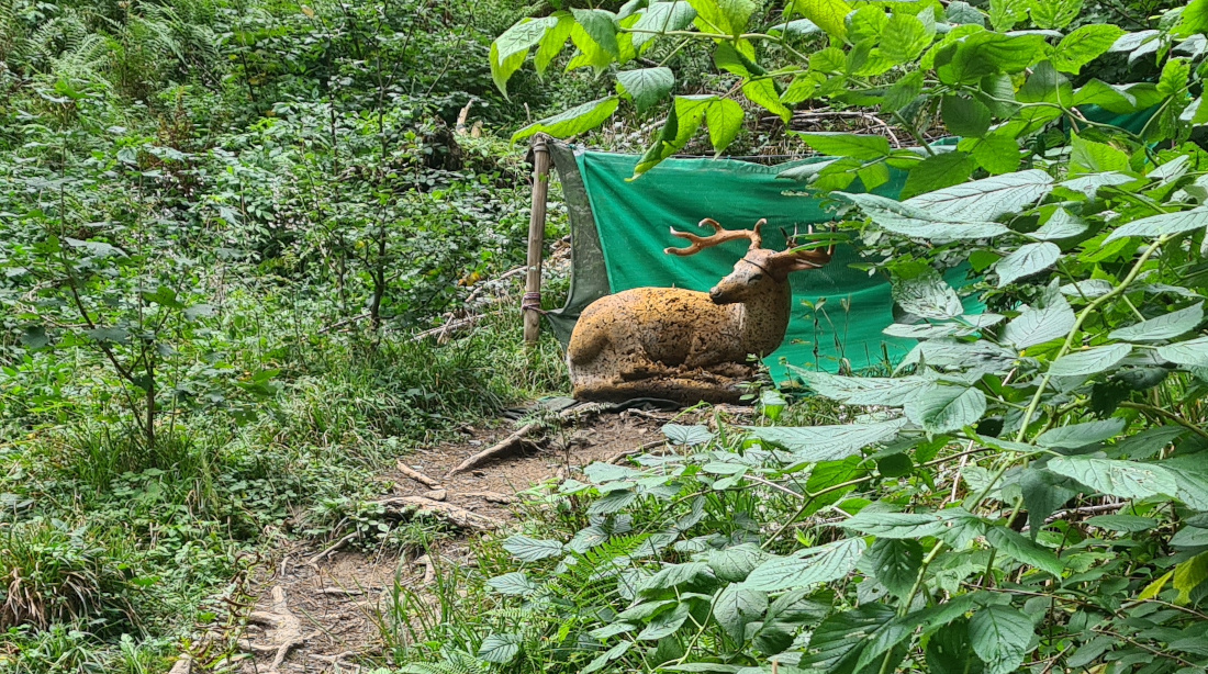 Colemen Traditionell intuitiv Bogenschießen, 3D Bogenparcours Höllschlucht Pfronten