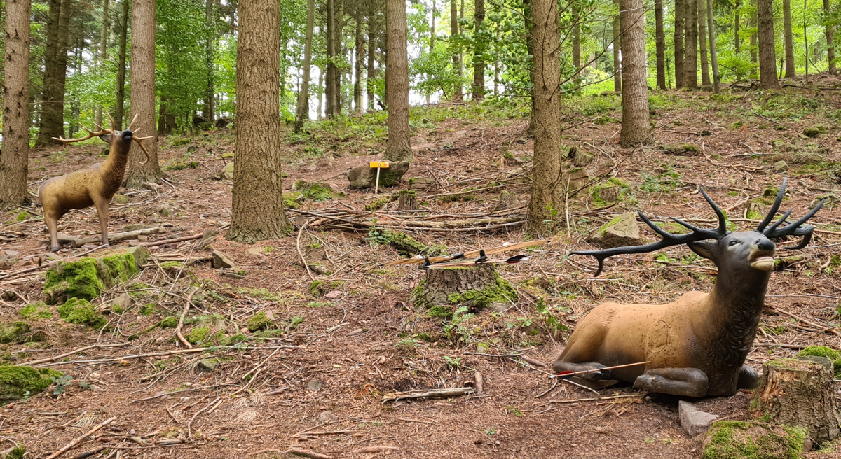 Colemen Traditionell intuitiv Bogenschießen, 3D Bogenparcours Kummersklinge