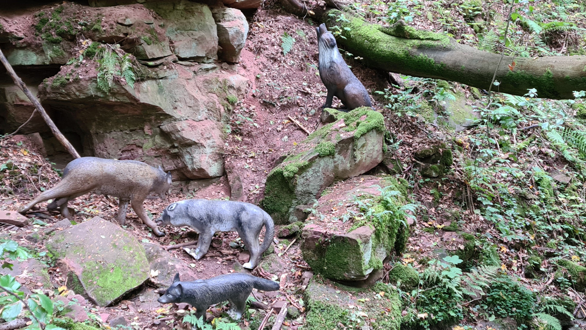 Colemen Traditionell intuitiv Bogenschießen, 3D Bogenparcours Kummersklinge