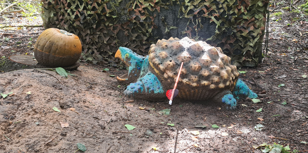 Colemen Traditionell intuitiv Bogenschießen, 3D Bogenparcours Bucher Bogner Lauterbach