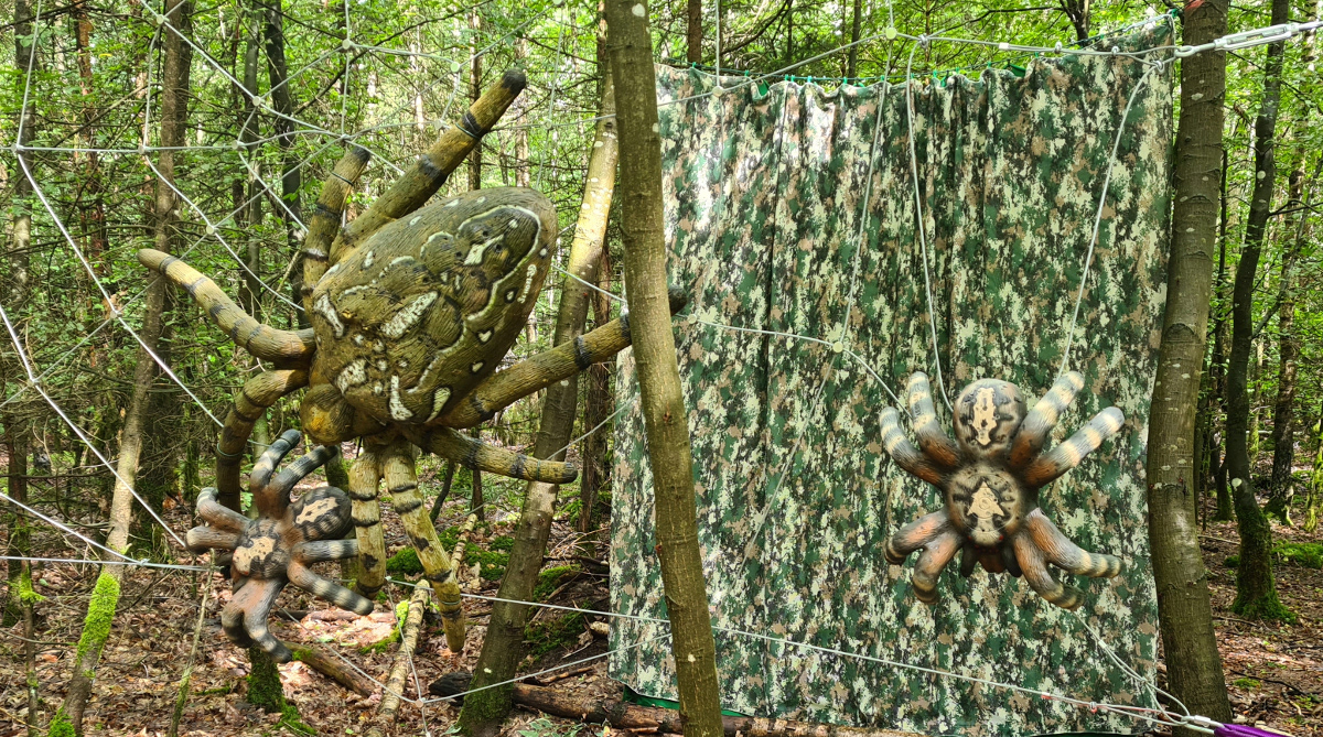 Colemen Traditionell intuitiv Bogenschießen, 3D Bogenparcours Bucher Bogner Lauterbach