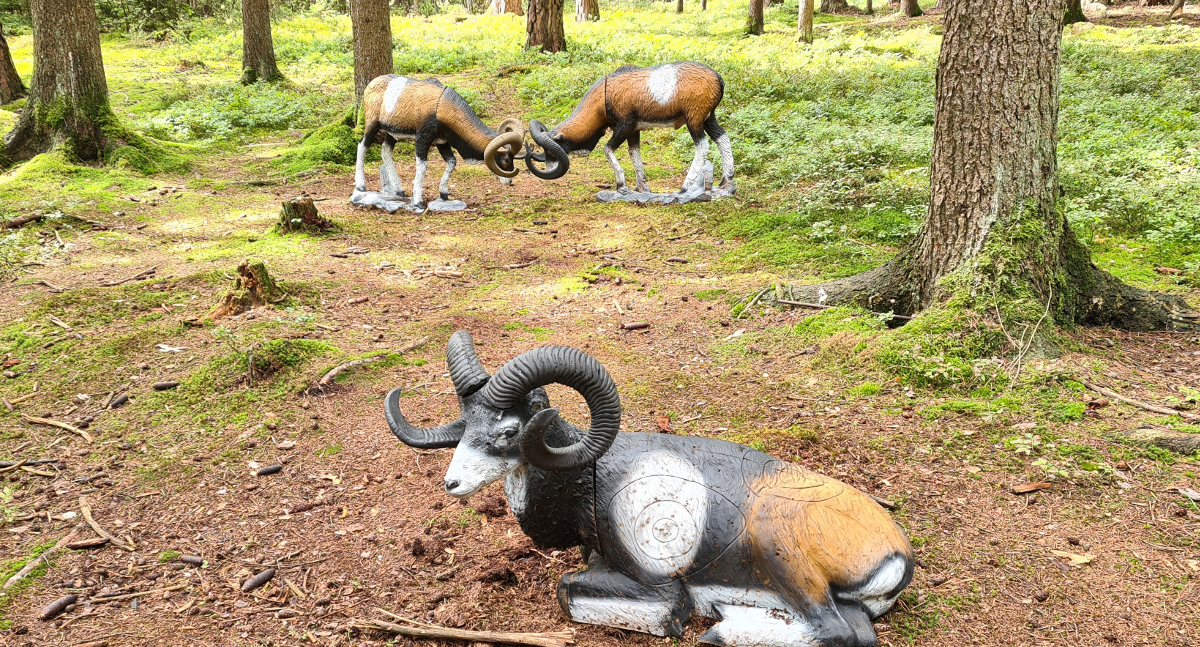 Colemen Traditionell intuitiv Bogenschießen, 3D Bogenparcours Bucher Bogner Lauterbach