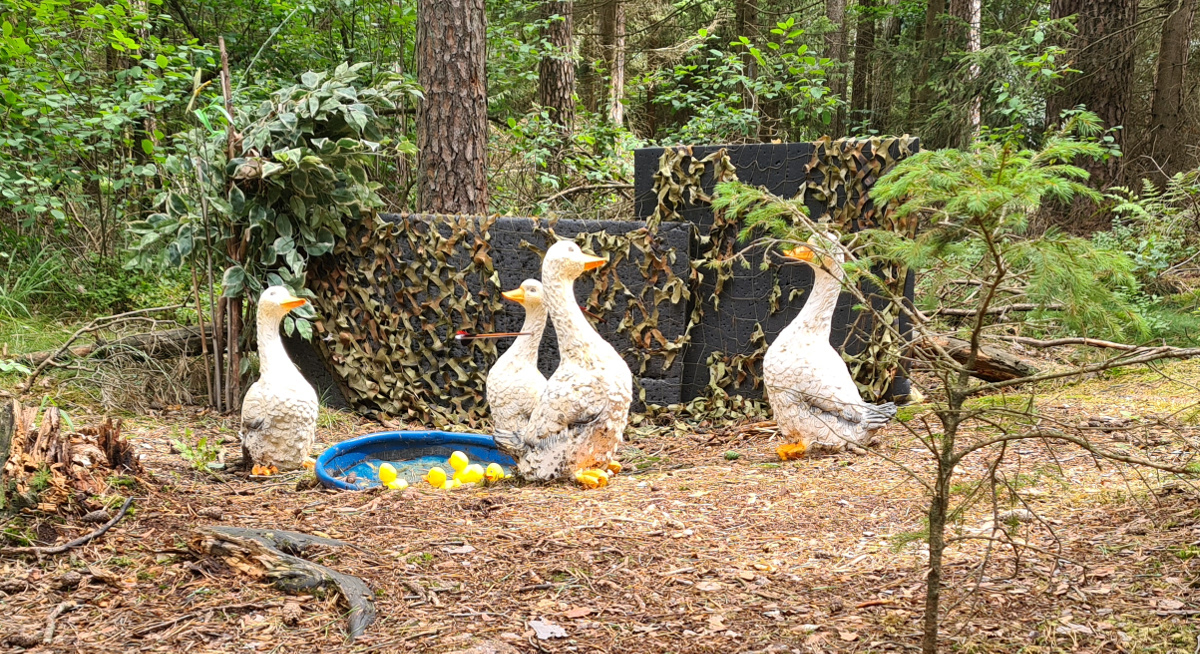 Colemen Traditionell intuitiv Bogenschießen, 3D Bogenparcours Bucher Bogner Lauterbach