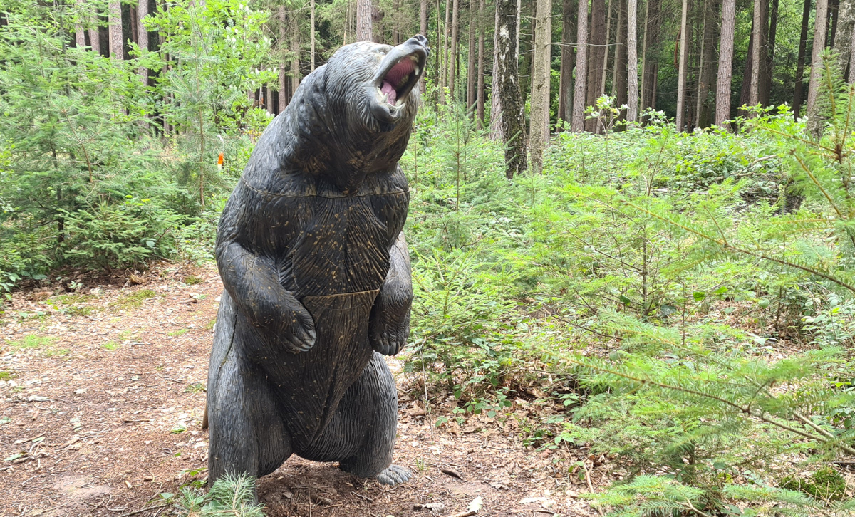 Colemen Traditionell intuitiv Bogenschießen, 3D Bogenparcours Bucher Bogner Lauterbach
