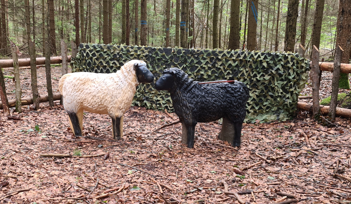 Colemen Traditionell intuitiv Bogenschießen, 3D Bogenparcours Bucher Bogner Lauterbach