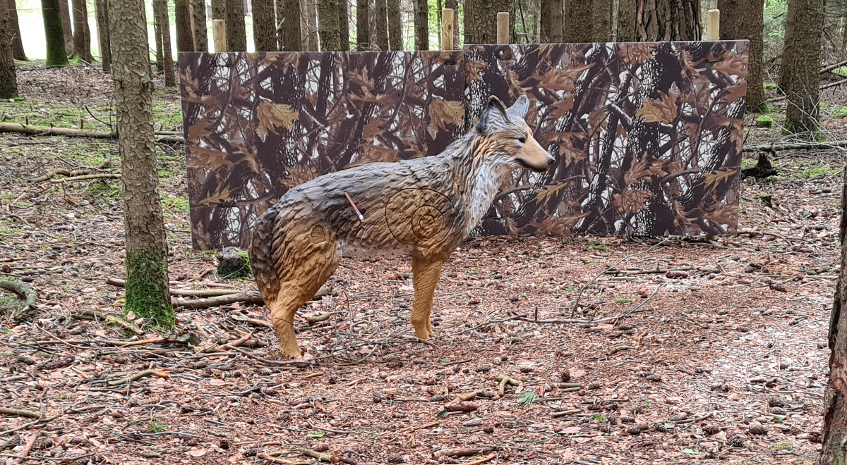 Colemen Traditionell intuitiv Bogenschießen, 3D Bogenparcours Bucher Bogner Lauterbach
