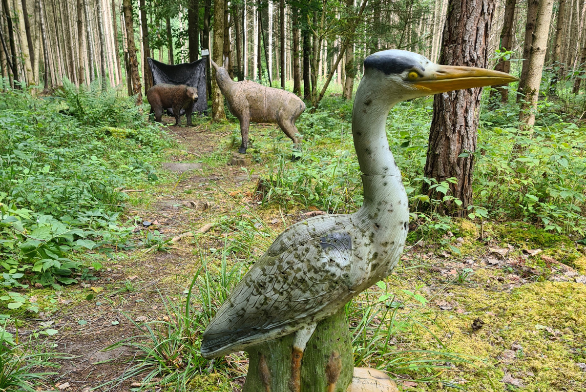 Colemen Traditionell intuitiv Bogenschießen, 3D Bogenparcours Bucher Bogner Lauterbach