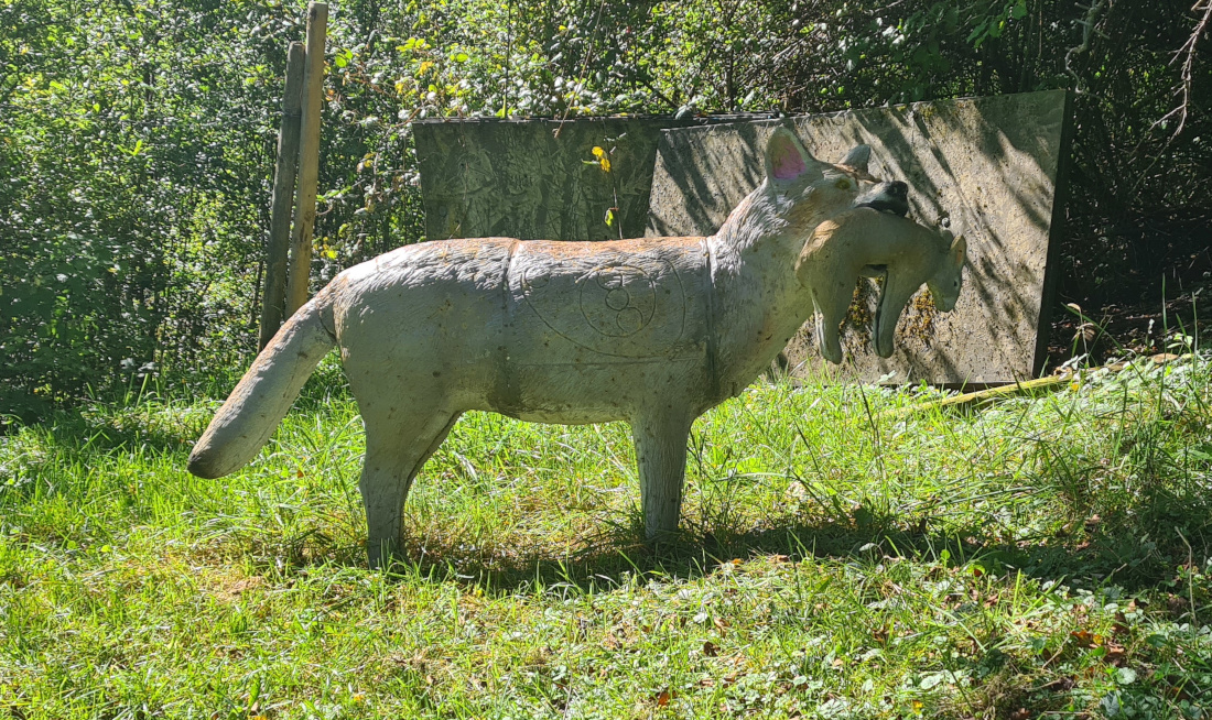 Colemen Traditionell intuitiv Bogenschießen, 3D Bogenparcours Martinszell