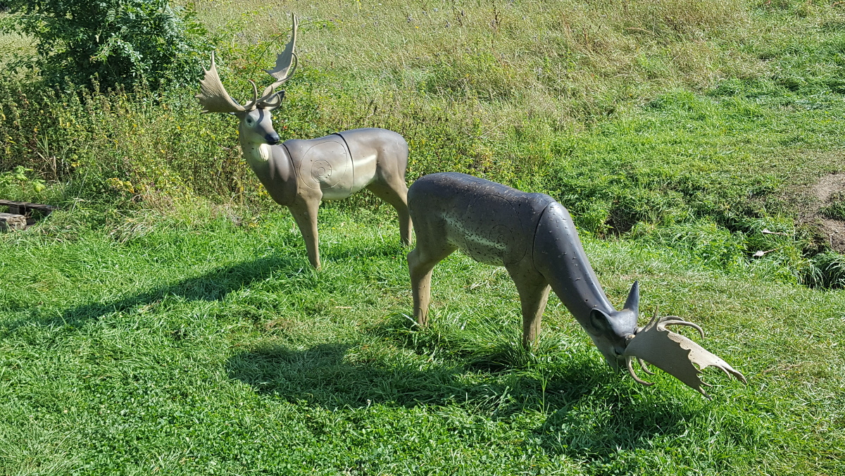 Colemen Traditionell intuitiv Bogenschießen, 3D Bogenparcours Ox Bow