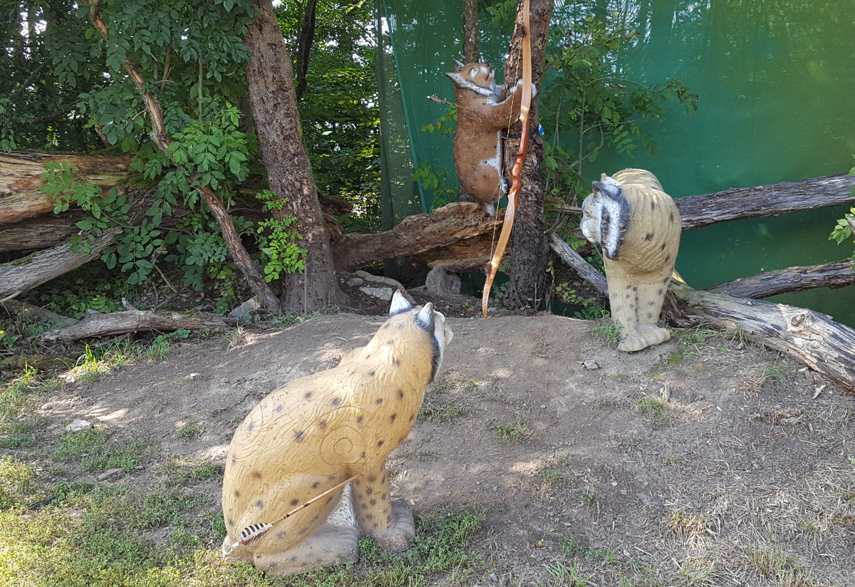 Colemen Traditionell intuitiv Bogenschießen, 3D Bogenparcours Ox Bow