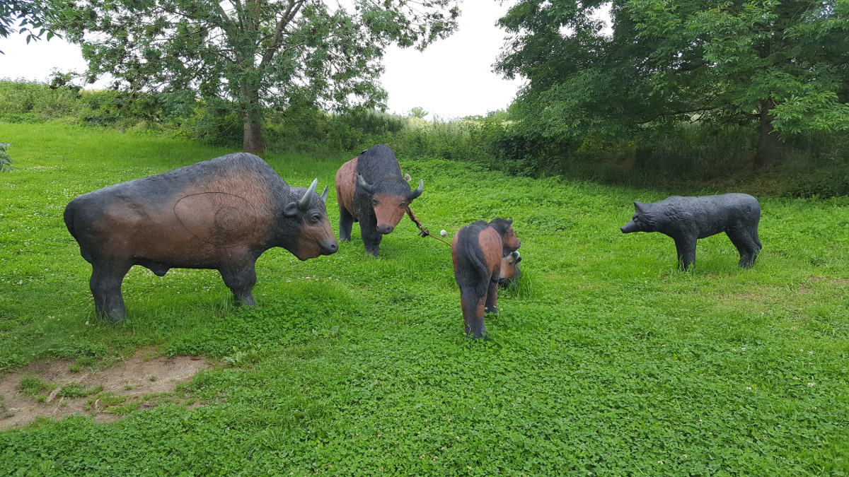 Colemen Traditionell intuitiv Bogenschießen, 3D Bogenparcours Ox Bow