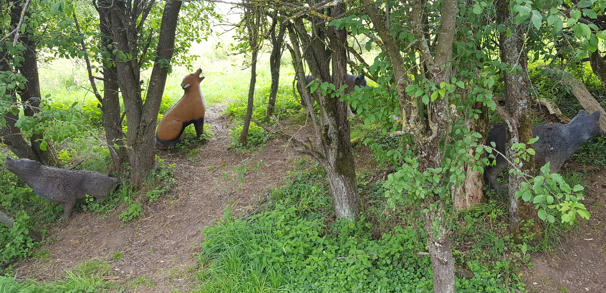 Colemen Traditionell intuitiv Bogenschießen, 3D Bogenparcours Ox Bow